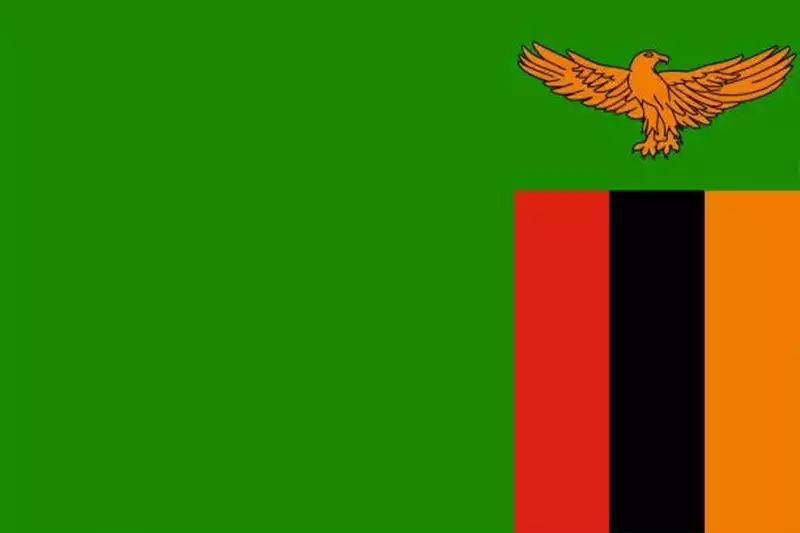 zambia flag southern cold storage branch southerncoldstorage.co.ke